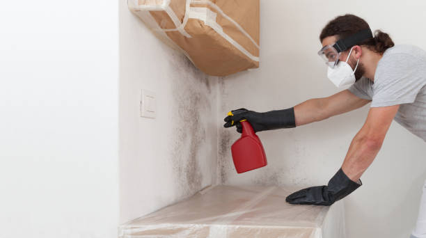 Professional Crawl Space Mold Remediation technician working in Cambridge, MA