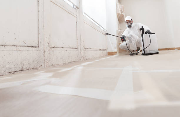 24/7 Emergency Crawl Space Mold Remediation experts in Cambridge, MA